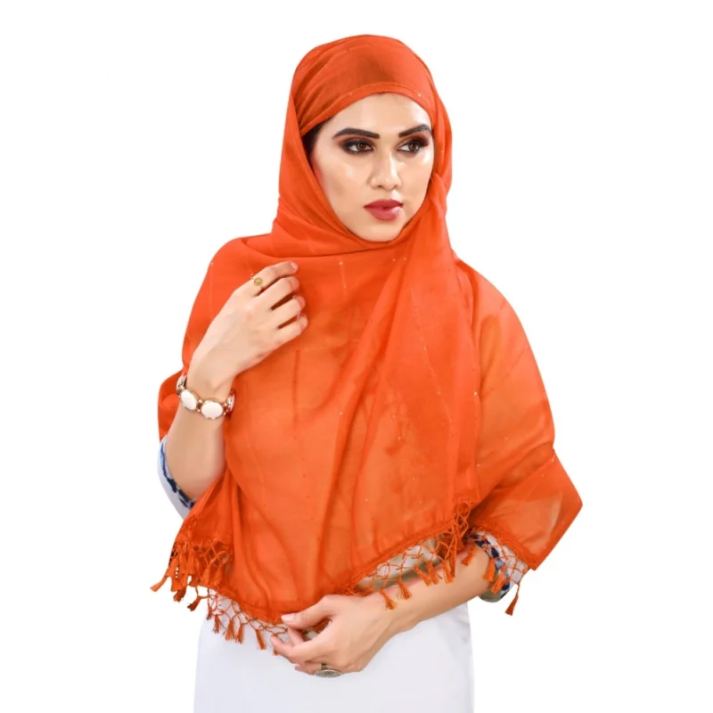 Women's Cotton Silk Strips Printed Dupatta (Orange, Length:2-2.4 mtr) - Image 4