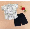 Generic Boy's Cotton Blend Printed Short Sleeve Shirt and Shorts Set (MultiColor)