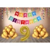9Th Happy Birthday Decoration Combo With Multi Color Banner (Multicolor)