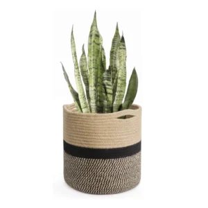 Cotton Large Woven Storage Basket 11x11 Inch Pack of 1 (Beige)