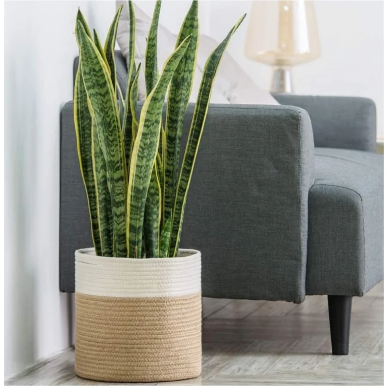 Alternative view of Cotton Large Woven Storage Basket 11x11 Inch Pack of 1 (Beige White)