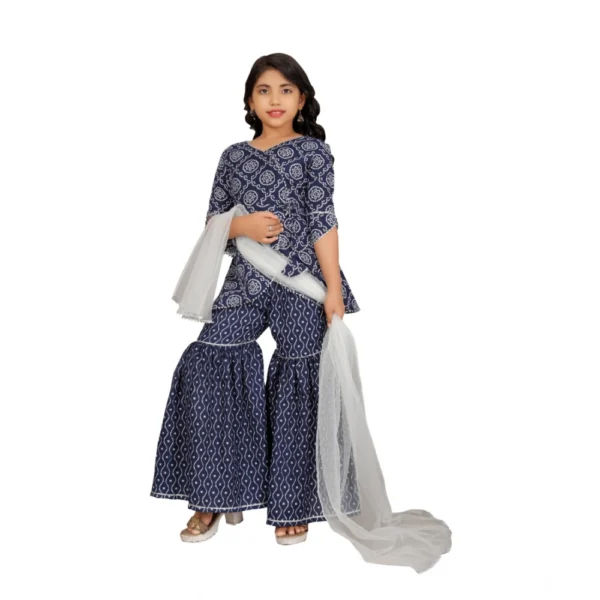 Girl's Cotton?Rayon Printed Top And Sharara Set (Blue) - Image 4