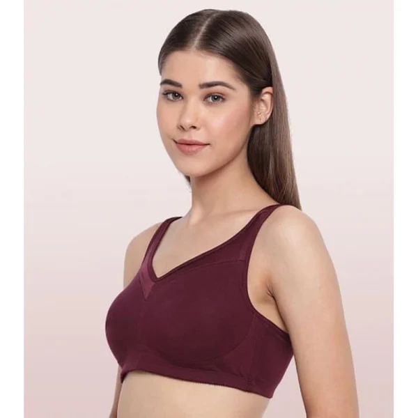 Enamor A112 Women's Cotton Full Support Bra (GrapeWine) - Image 5