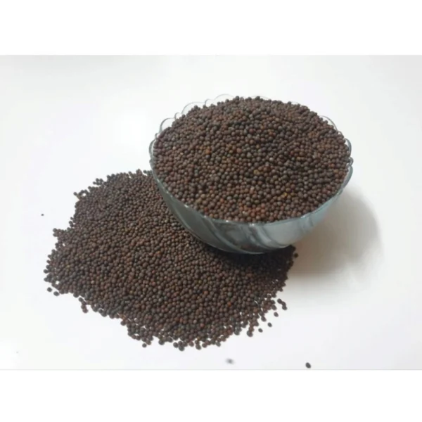 Mustard Microgreen Seeds – Easy to Grow, Quick Harvest