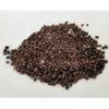 Sango Radish Microgreen Seeds – Quick Harvest, Suitable for Any Space