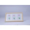 Acrylic Cactus Image Frame (Multicolor)